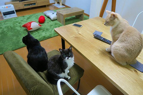 IMG_0502