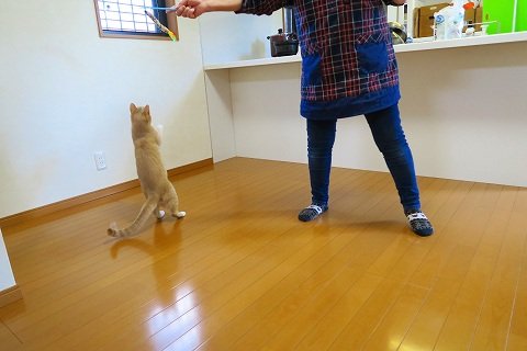 IMG_0141