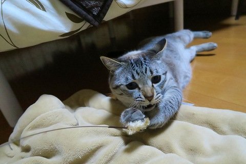 IMG_3675