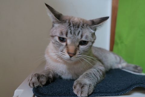img_1049
