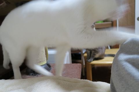 IMG_0828