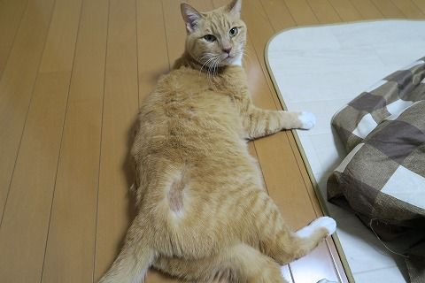 IMG_1075