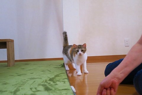 IMG_2911