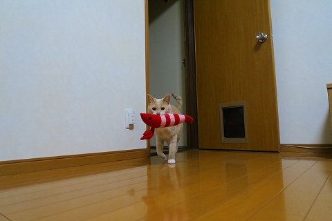 IMG_5560