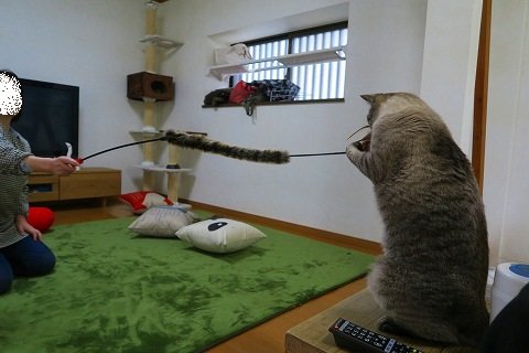 IMG_8219