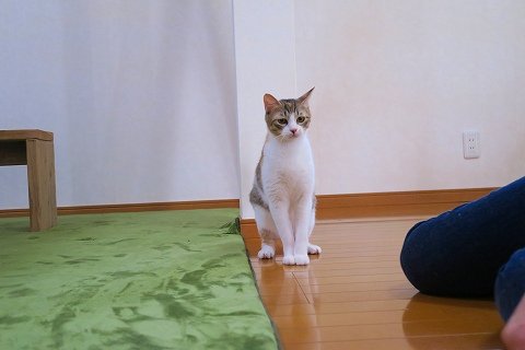 IMG_2913