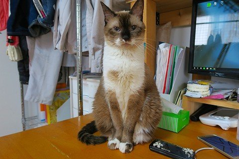 IMG_0039