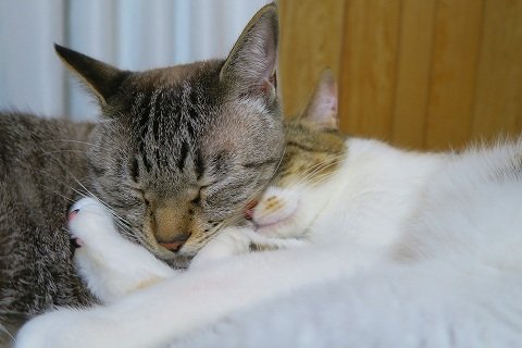 IMG_1680