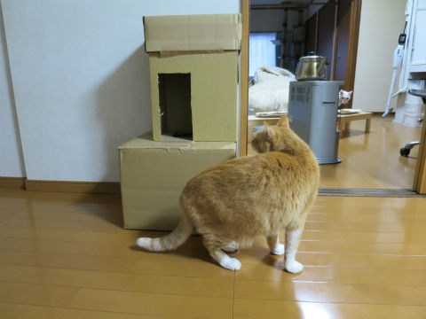 018
