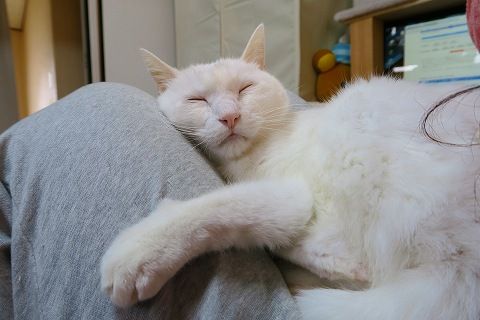 IMG_0913