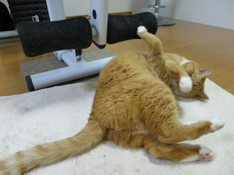 151