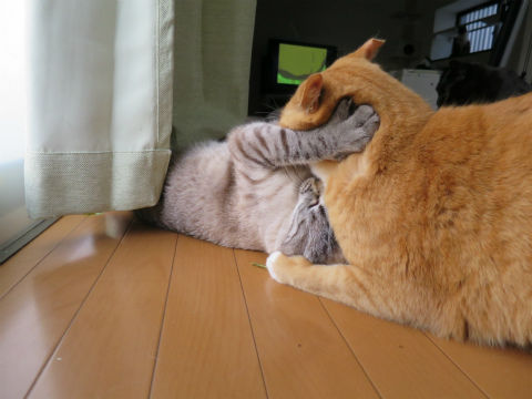 097
