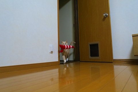 IMG_5558