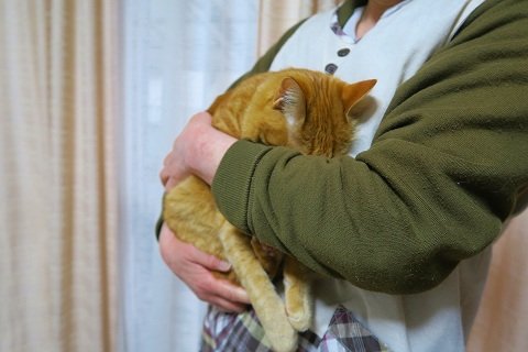 IMG_4744