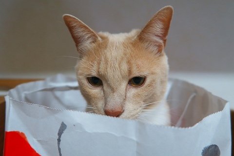 IMG_7766