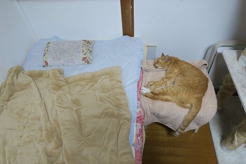 IMG_5900