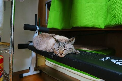 IMG_3722