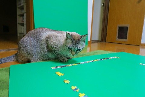 IMG_2671