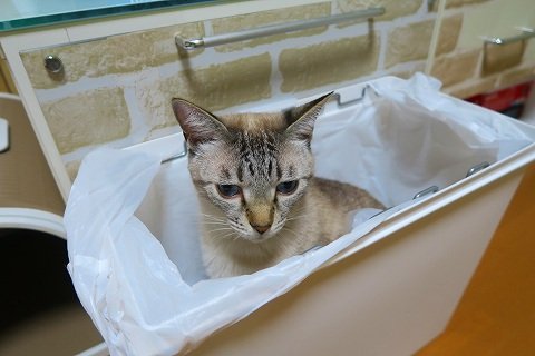 IMG_8198