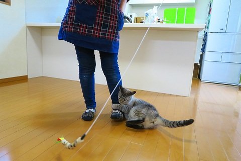 IMG_0252
