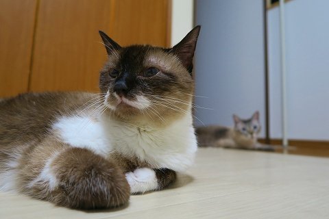 IMG_6709