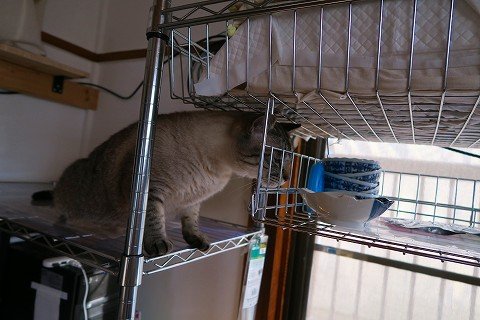 IMG_0883
