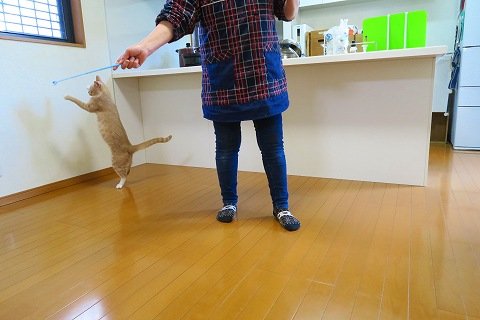 IMG_0072
