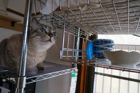 IMG_0802