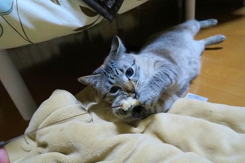 IMG_3672