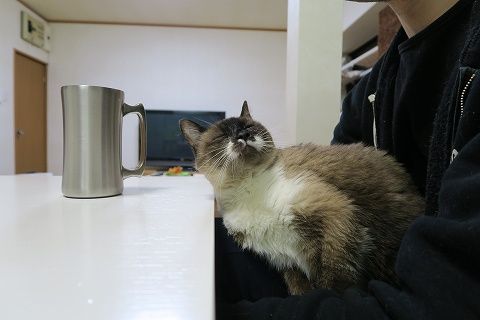 IMG_0780
