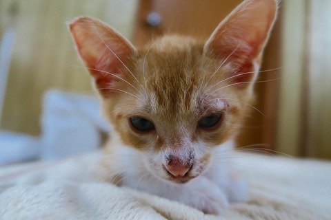 IMG_1911