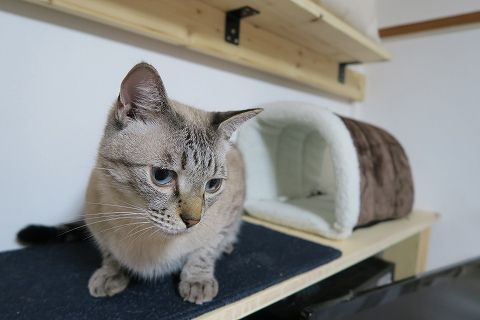 img_1424