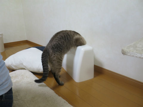 050
