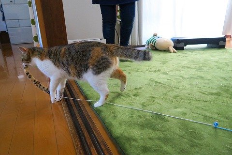 IMG_9063