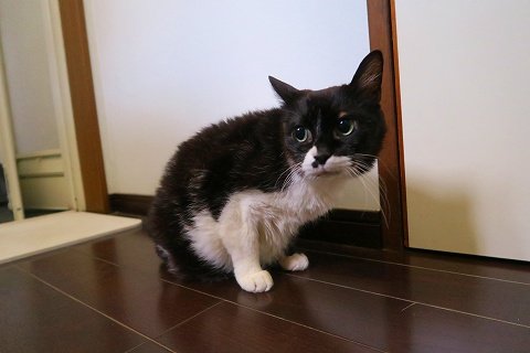 IMG_8082