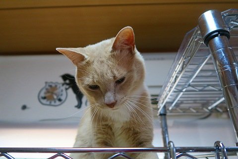 IMG_8479