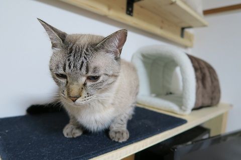 img_1429