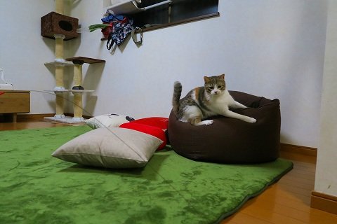 IMG_7665