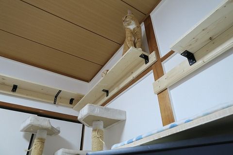 IMG_3717
