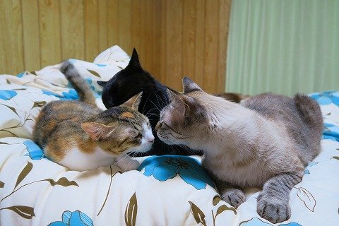 IMG_6057