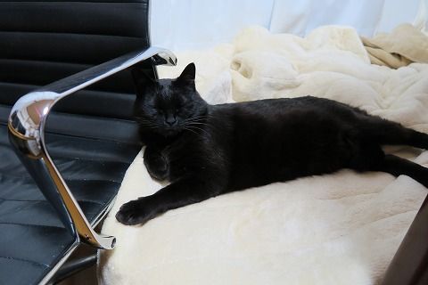 IMG_0105
