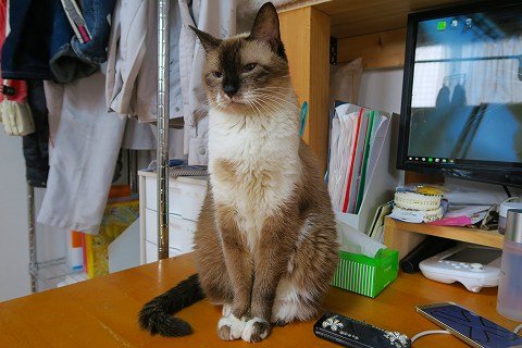IMG_0013