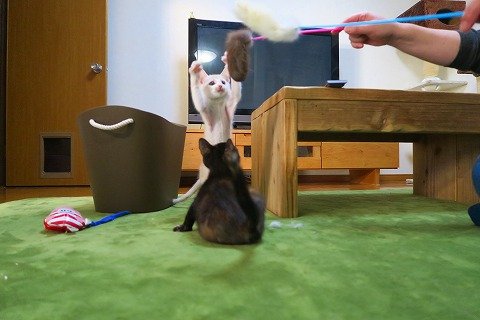 IMG_5167