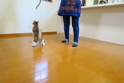 IMG_0518