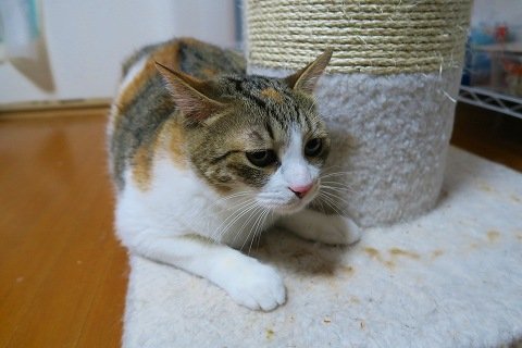 IMG_1946