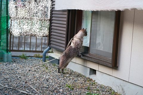IMG_1913