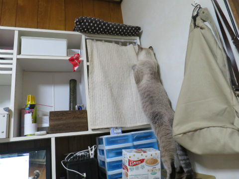 171