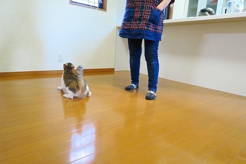IMG_0520