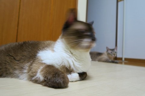 IMG_6700