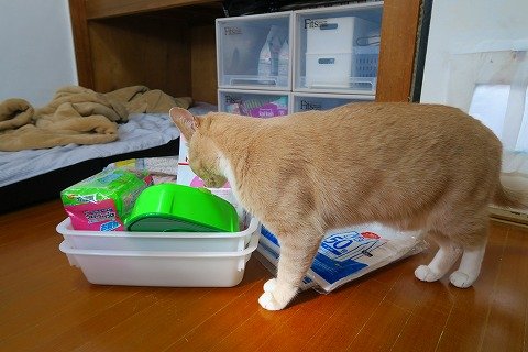 IMG_6719